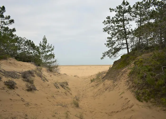 Spacious House With Garden *